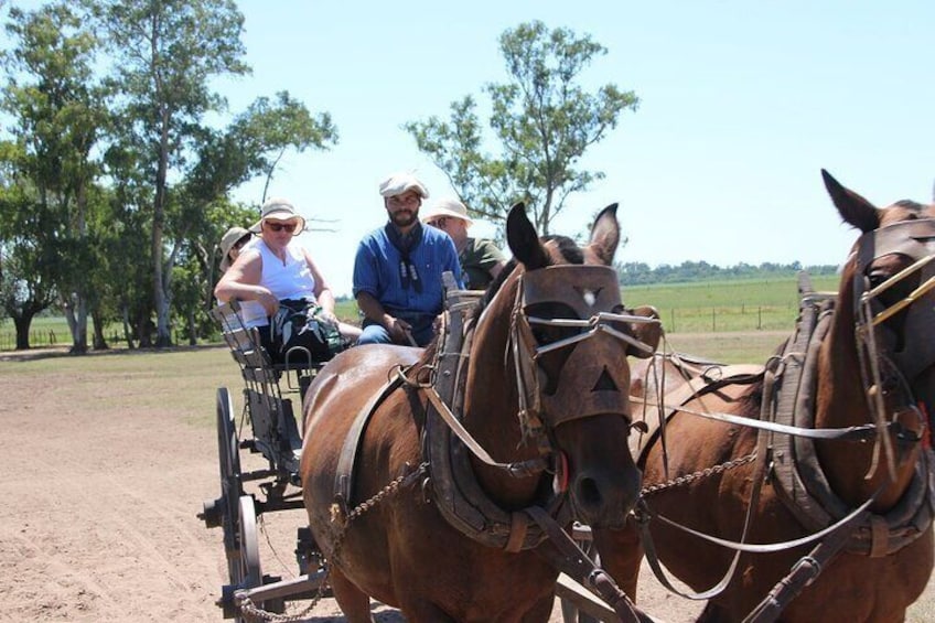 Estancia Santa Susana