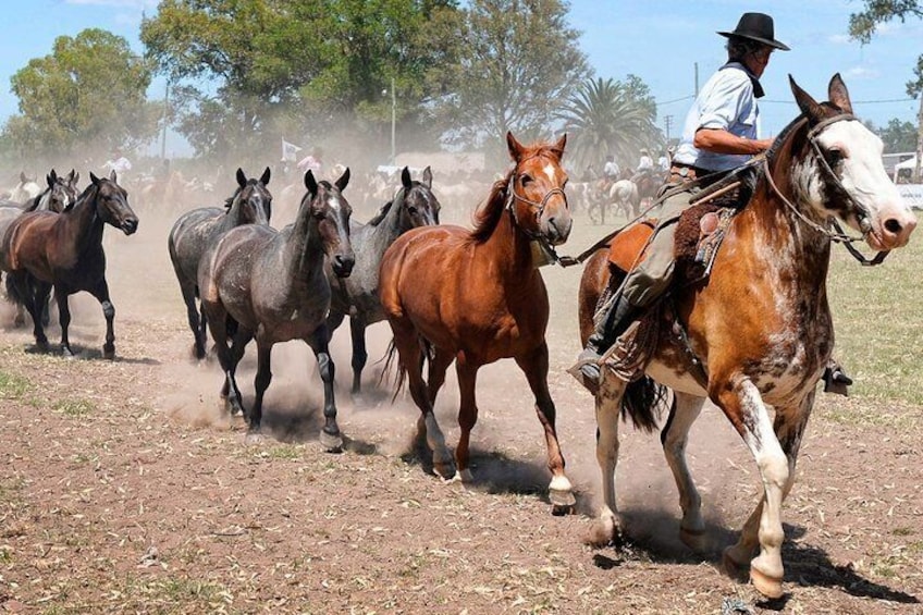 Estancia Santa Susana