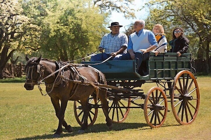 Private Tour: Santa Susana Gaucho Ranch from Buenos Aires