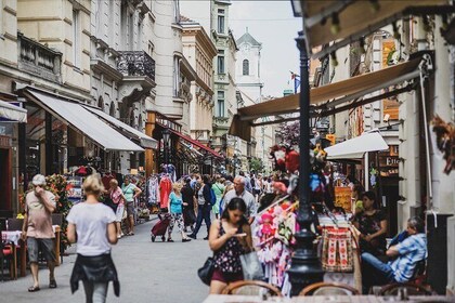 Full-Day Trip from Budapest to Vienna with Private Expert Guide - Includes ...