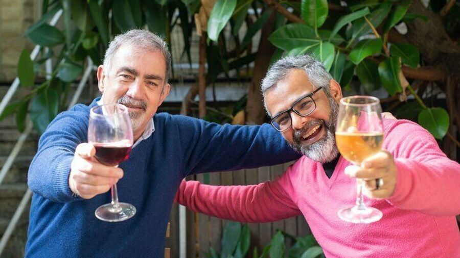 Top 3 Cape Town Wineries Half Day Private Tour