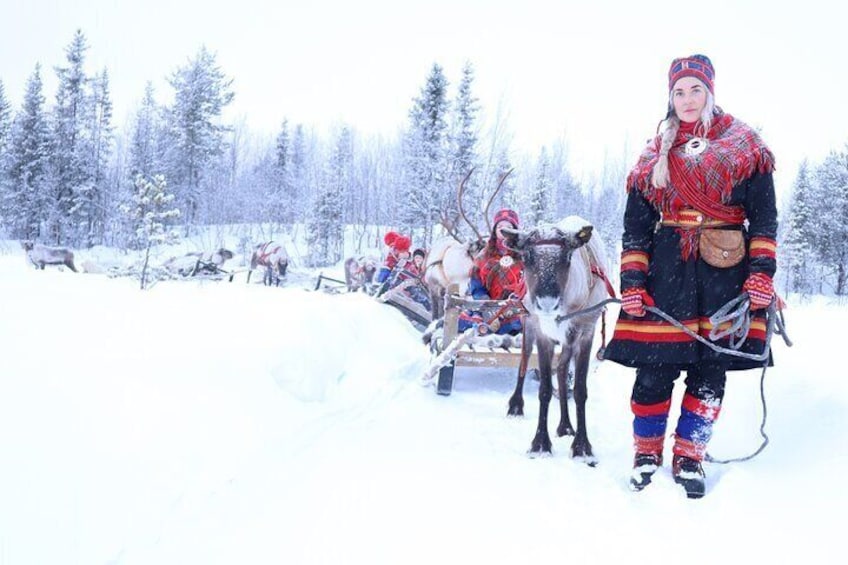 Aurora Hunting Tour with Reindeer Sledding from Kiruna