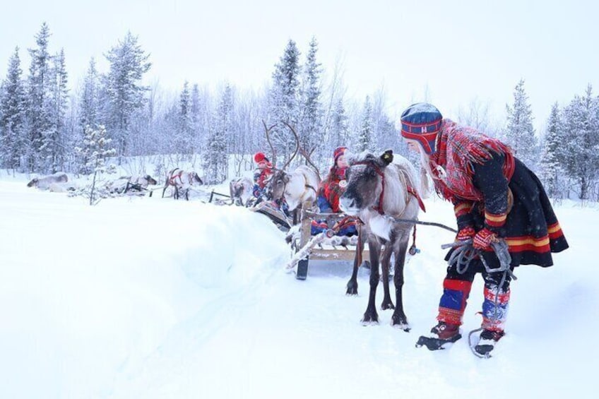 Aurora Hunting Tour with Reindeer Sledding from Kiruna