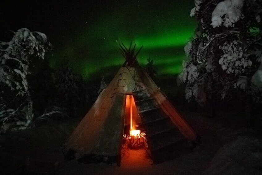 Aurora Hunting Tour and Reindeer Sledding from Kiruna