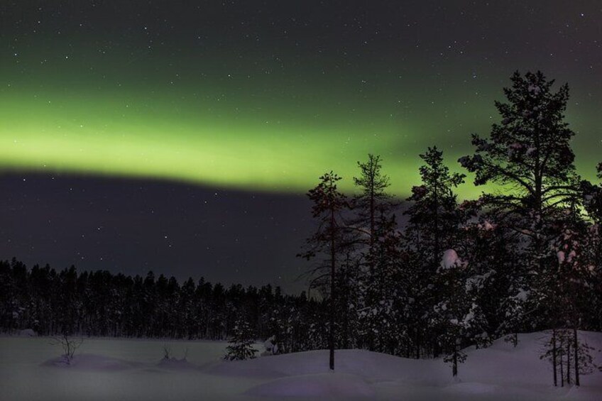 Aurora Hunting Tour and Reindeer Sledding from Kiruna