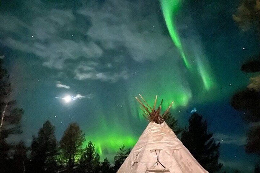 Aurora Hunting Tour with Reindeer Sledding from Kiruna