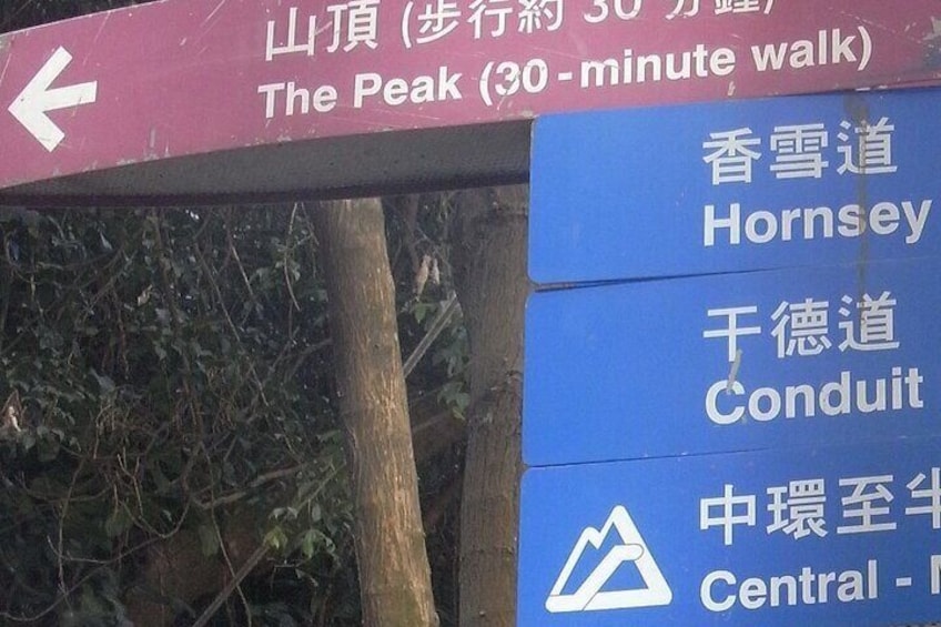 Victoria Peak: Climb to the summit via the Mid-Levels escalato on an audio tour