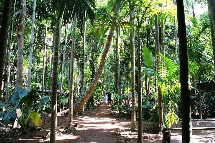 Highlights of South Goa with Spice Plantation Tour (Guided Fullday Tour by Car)