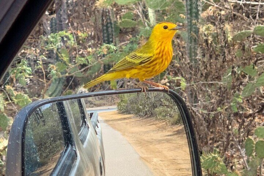North and South Tour + Beach Time with a Local Native Guide
