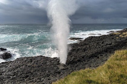 Erupting Blowholes and Ancient Rainforests SOUTH COAST OF SYDNEY PRIVATE TO...