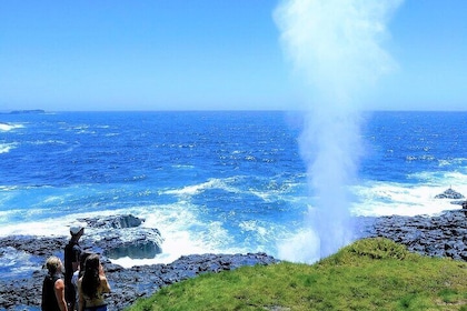 Erupting Blowholes and Ancient Rainforests SOUTH COAST OF SYDNEY PRIVATE TO...