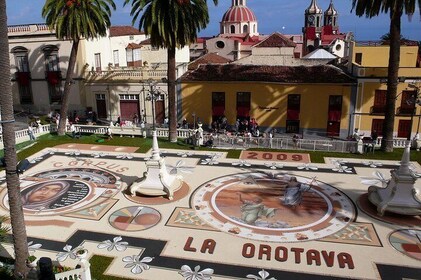 Private 6-hour Tour of La Orotava + Puerto de La Cruz with Hotel pick-up