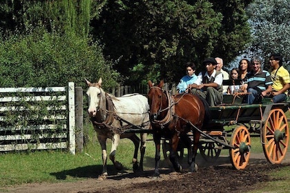 Private Tour: Don Silvano Gaucho Ranch from Buenos Aires