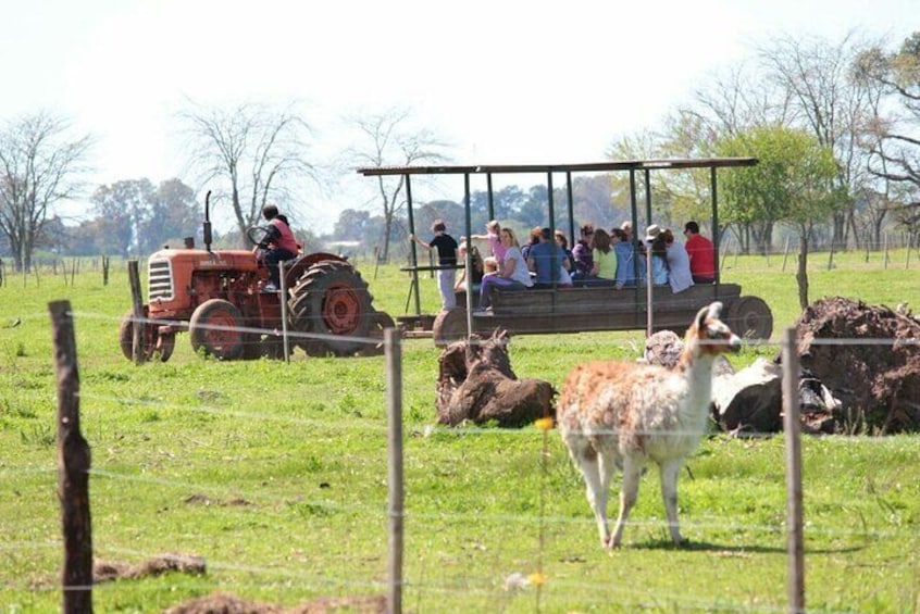 Estancia Don Silvano