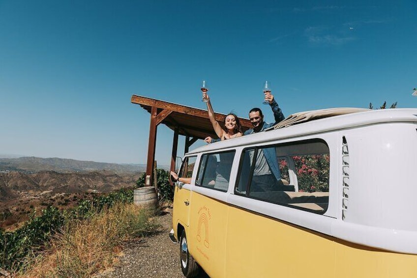 Malibu: Vintage VW Bus and Vineyard Tour