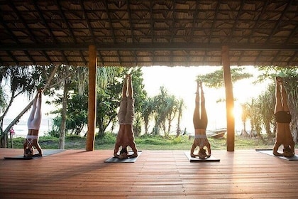 yoga class Sri Lanka - Aerial yoga (Ayurveda wellness package)