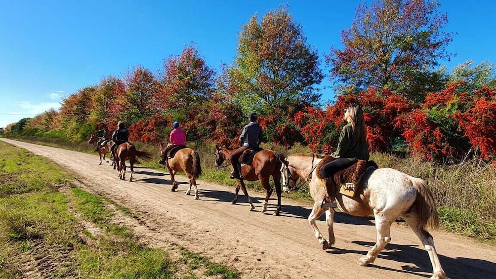 Horseback Riding And Countryside Day from Buenos Aires