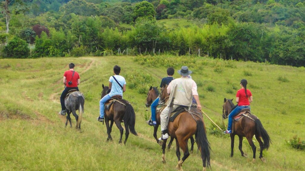 Landscape view of grassy area with several people riding horses.