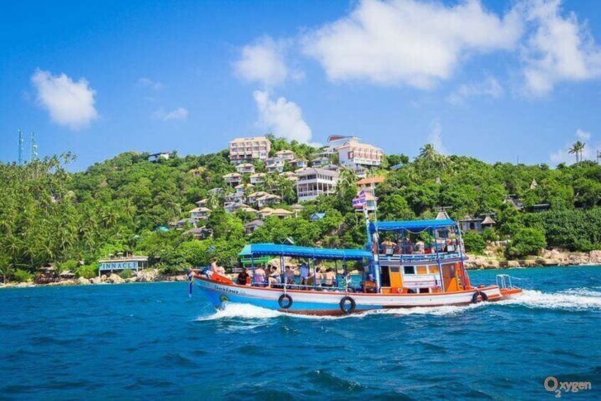 Snorkel Trip to Koh Nangyuan and Bays of Koh Tao By The Oxygen