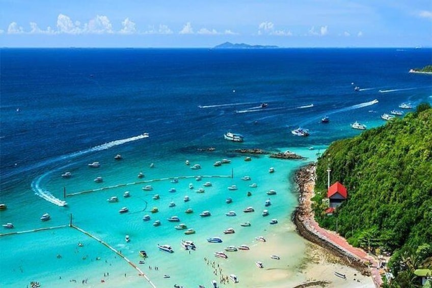 Bangkok-Pattaya: Join Tour Coral island with Lunch (Thai Seafood)