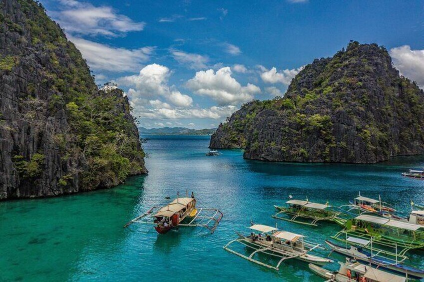 Coron Glittering Firefly Watching Tour (Private)