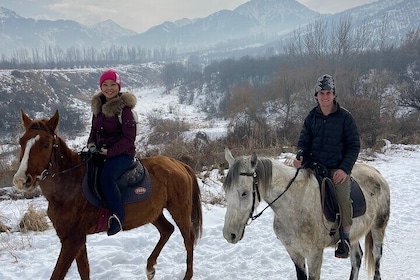 Horseback riding Tour