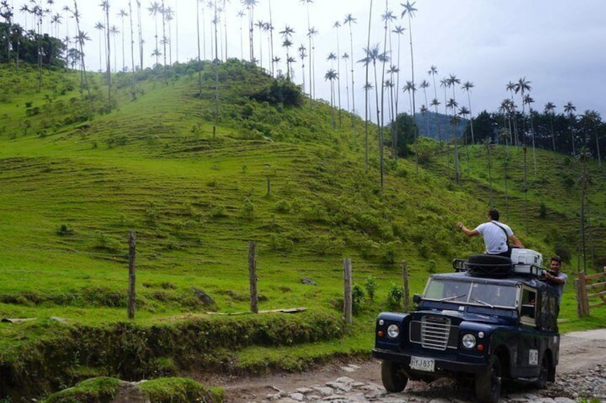 Full Day Tour of Cocora Valley, Salento, and Filandia Coffee Town (from Armenia)