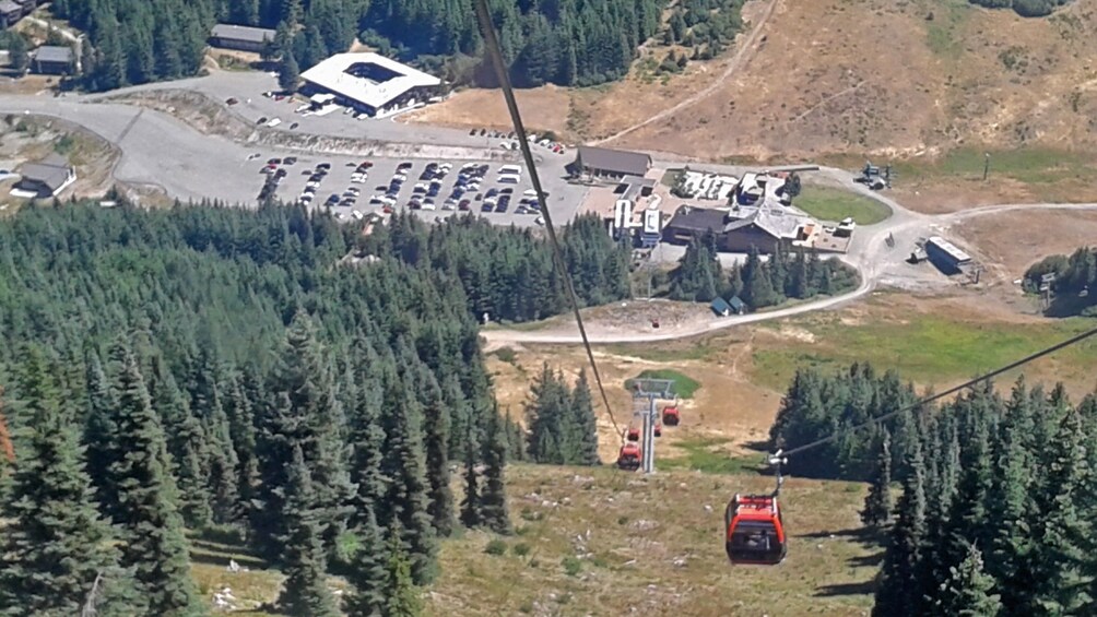 Mount Rainier Gondola Tour from Seattle