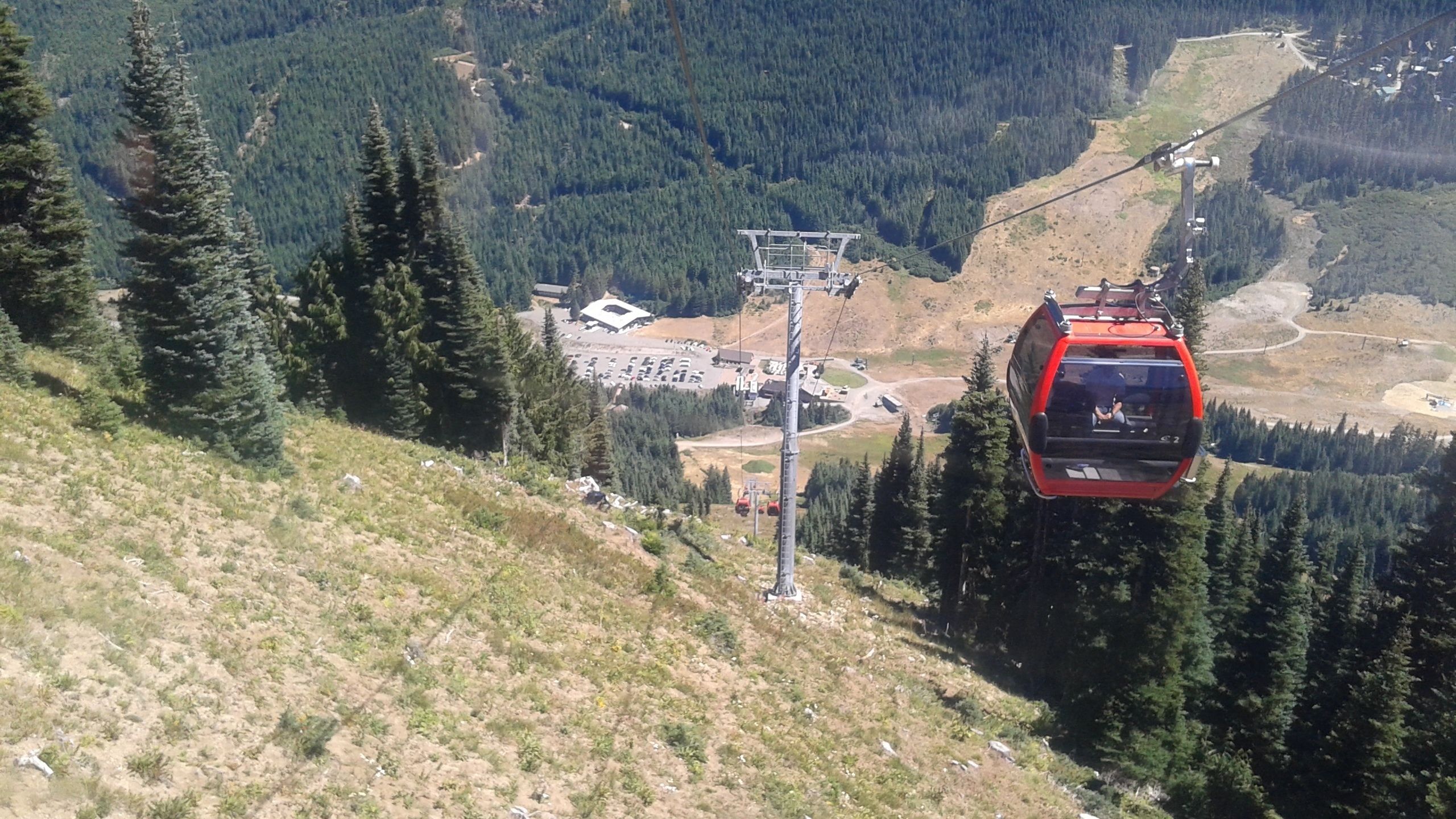 Mount Rainier Gondola Tour from Seattle