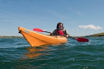 Sea kayaking along the Clare coastline. Clare. Guided. 2½ hours.