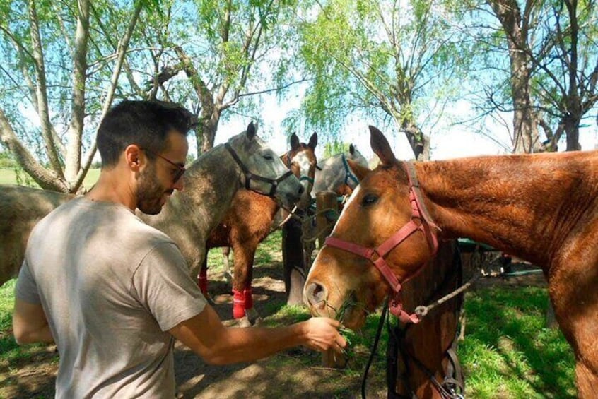 Horseback Riding Adventure with Asado in Buenos Aires!