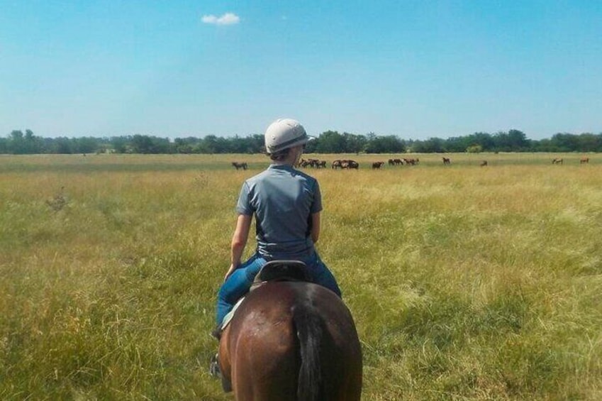 Horseback Riding Adventure with Asado in Buenos Aires!