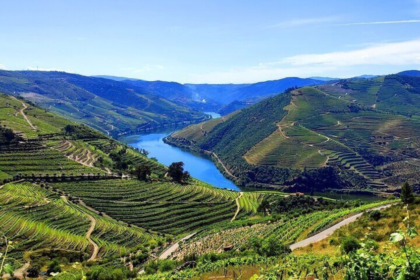 DOURO TOURS in Pinhão 1 day all inclusive 135€, Douro Valley