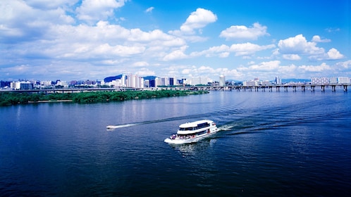 Han River Cruise & N Seoul Tower Tour