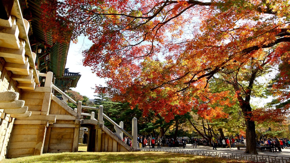 แสดงภาพที่ 2 จาก 5 Tour of Gyeongju City