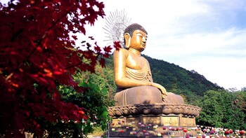 Full-Day Mt. Sorak Tour