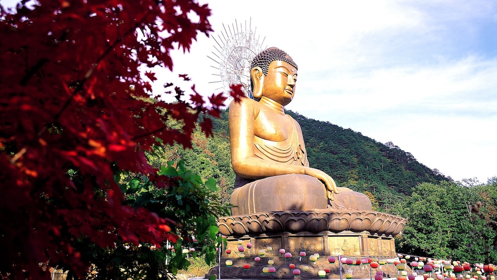 Buddha statue next to a tree with red leaves