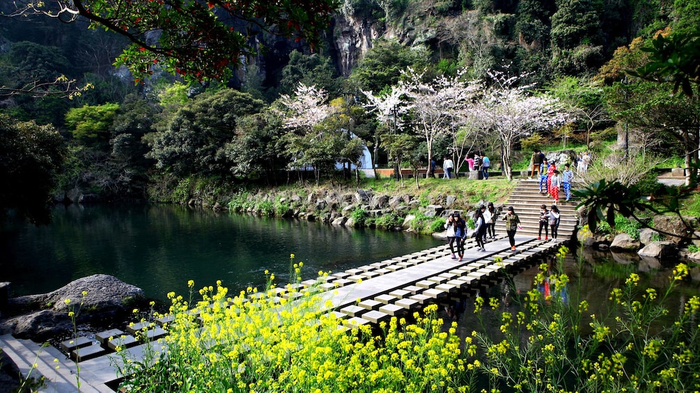 Visitors walk across bridge of stream
