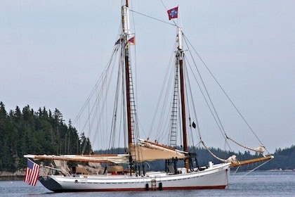 Portland högväxt skeppskryssning på Casco Bay