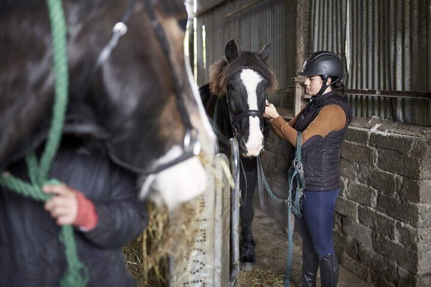 Beach & countryside horse riding. Mayo. Guided. 1 hour.