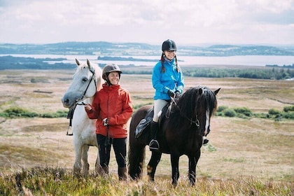 Beach & countryside horse riding. Mayo. Guided. 1 hour.