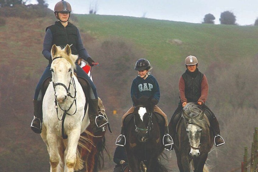 Beach & countryside horse riding. Mayo. Guided. 1 & 2 hour options.