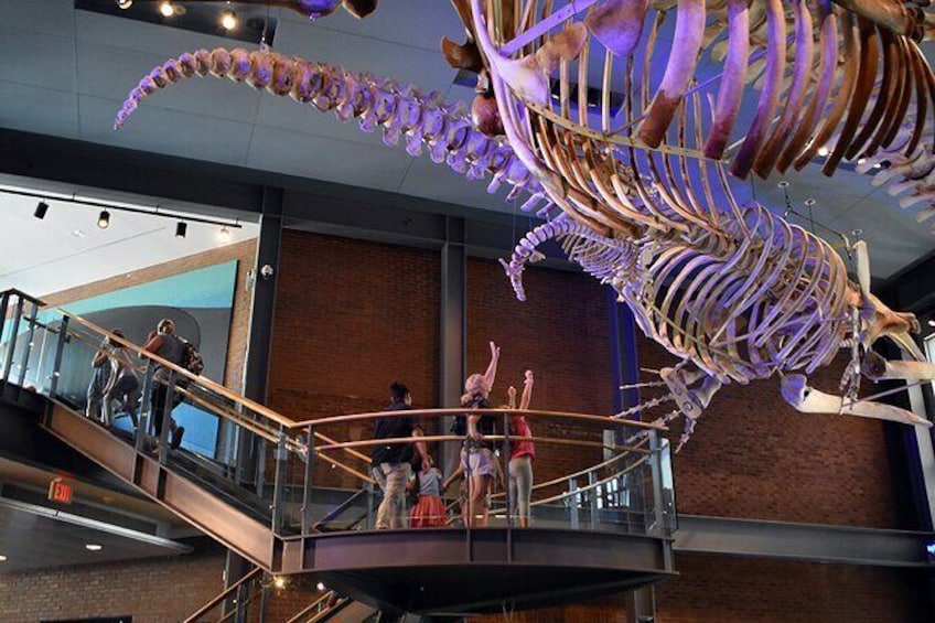 10:00 am Timed-Entry Visit to New Bedford Whaling Museum