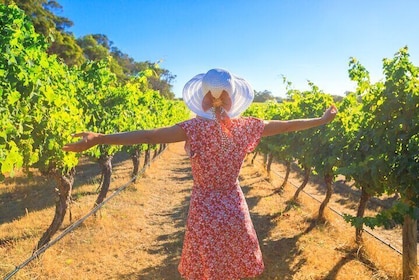 Half Day Swan Valley Afternoon Wine Tour - Premium Small Group Tour