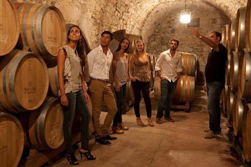 Learn about the region and its wine with your internationally experienced, local Tour Guide