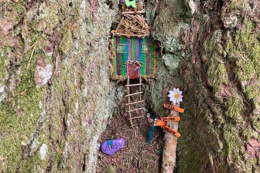 Fairy House in Anagach Woods, Grantown