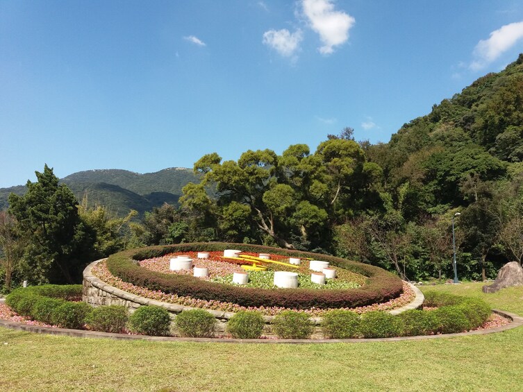 Yangmingshan National Park Hot Springs Tour