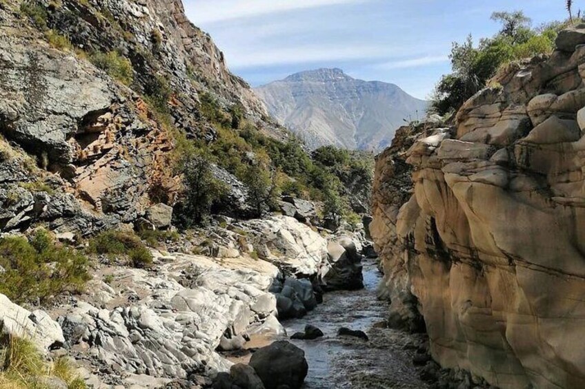 Private Full Day La Campana Hill Trekking Tour from Santiago