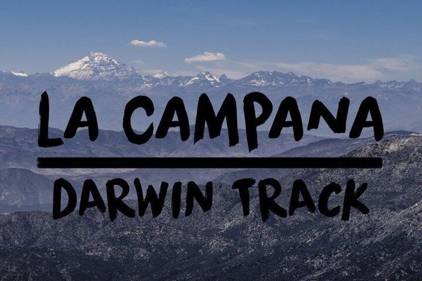 Private Full Day La Campana Hill Trekking Tour from Santiago