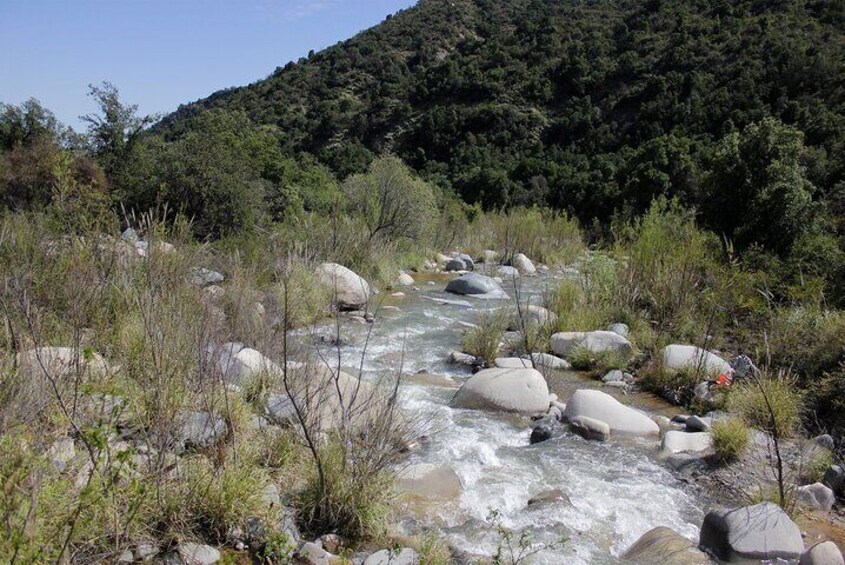 Private Full Day La Campana Hill Trekking Tour from Santiago